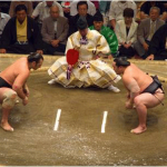 sumo